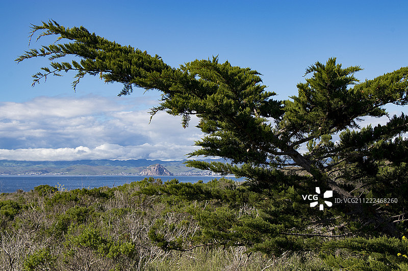 绿色和摩洛哥风图片素材