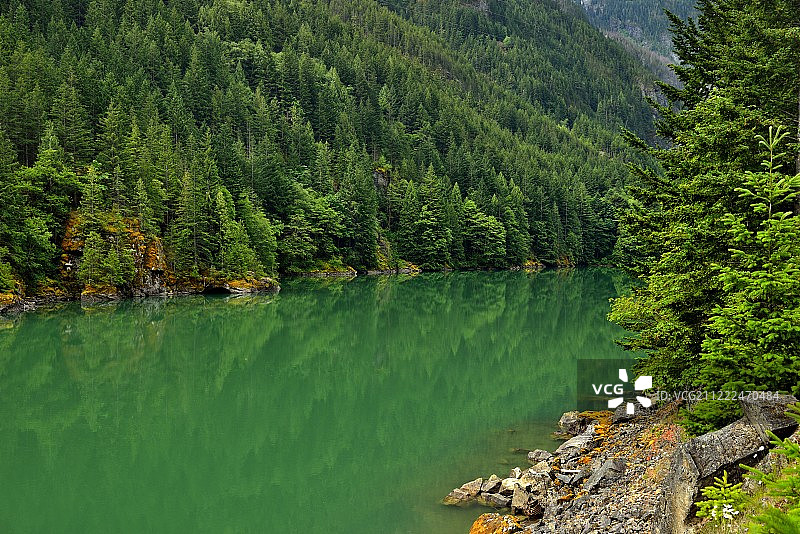 碧绿水面倒影图片素材