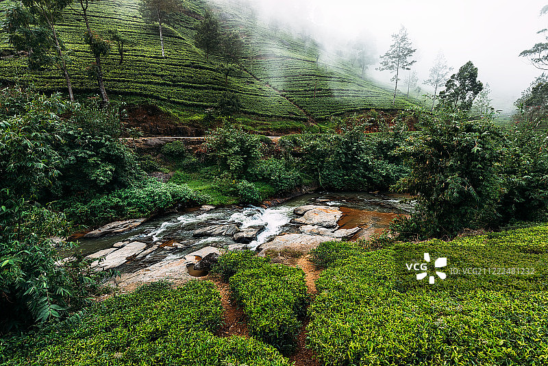 茶园山水风光图片素材