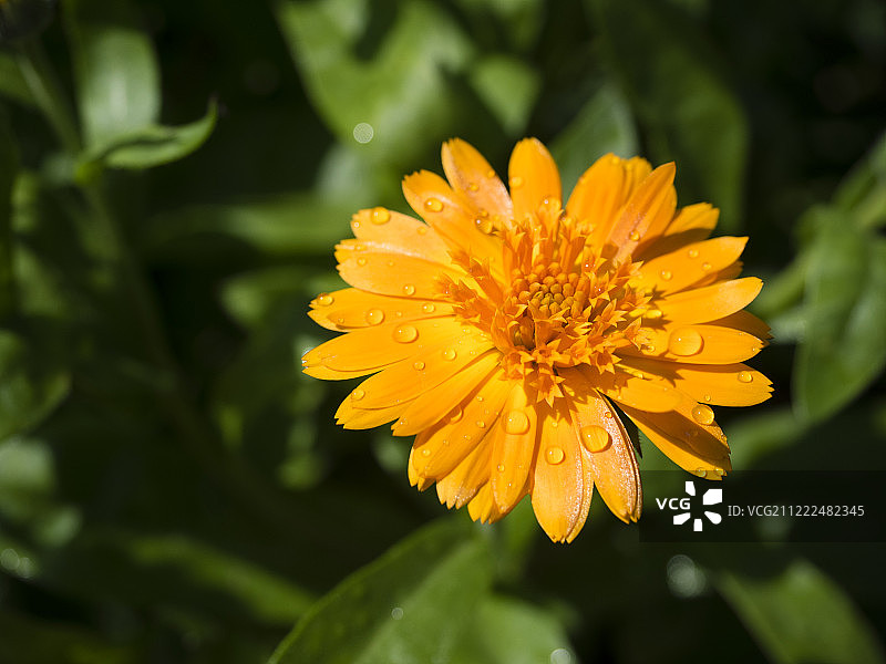 奥林巴斯数码相机图片素材