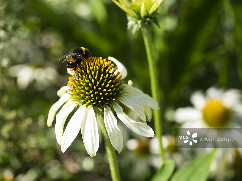 奥林巴斯数码相机图片素材