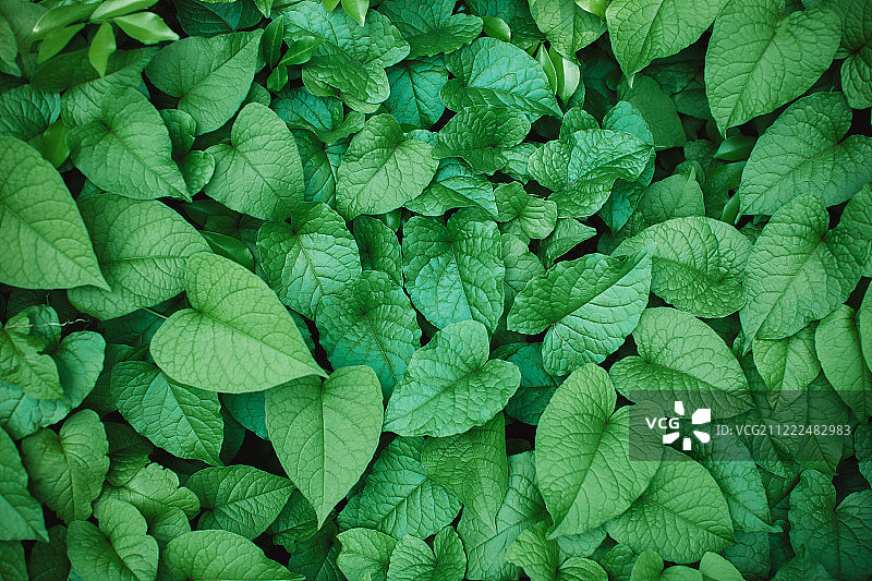 自然背景图片素材