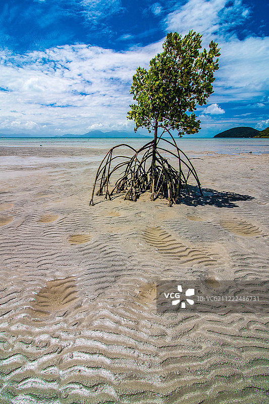 海底波纹图片素材