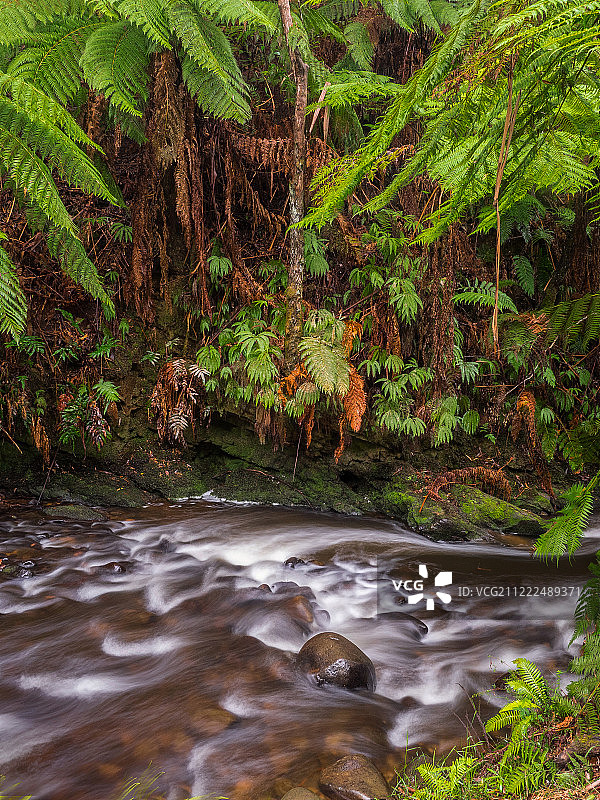 冬日来临图片素材