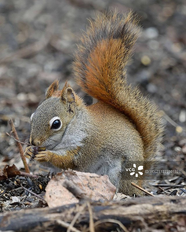 世界地球日图片素材