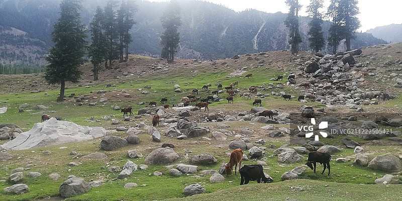 卡拉姆风景图片素材