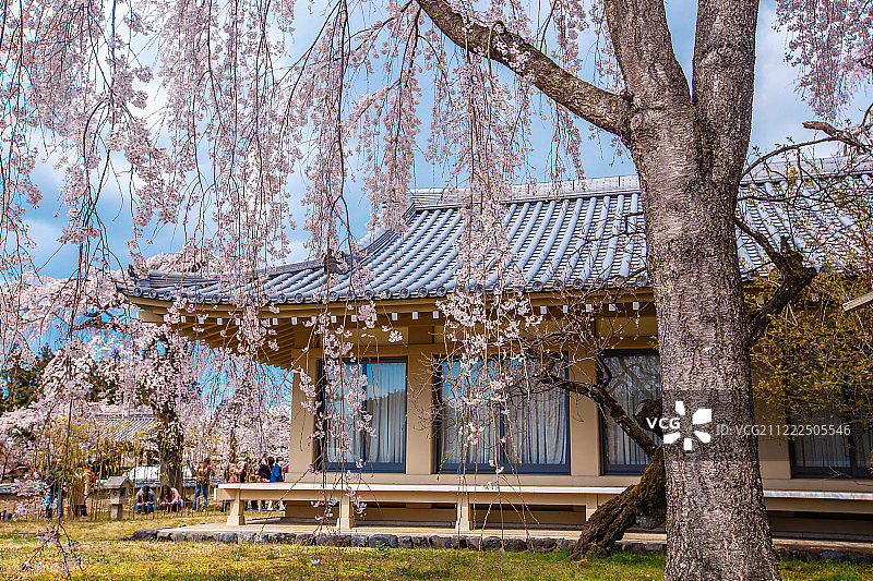 醍醐寺图片素材