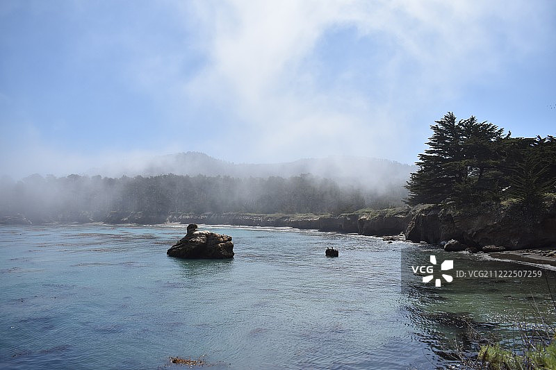 观鲸湾的宁静图片素材
