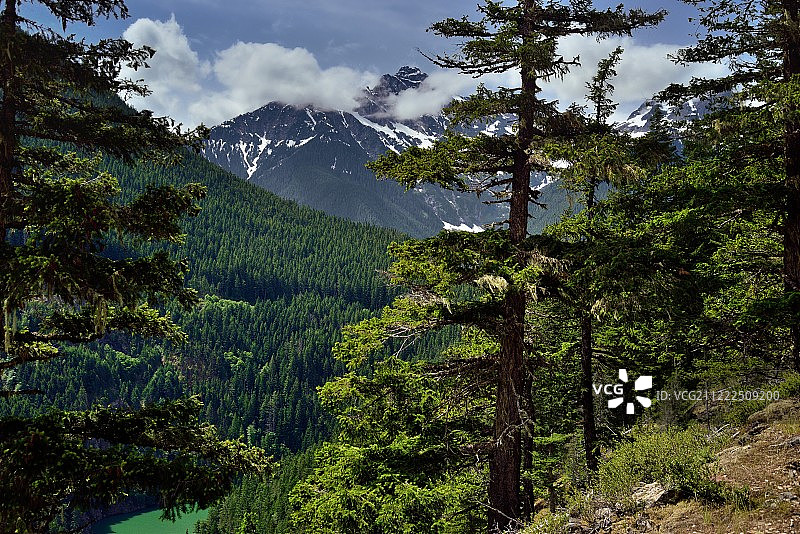 华盛顿土地图片素材