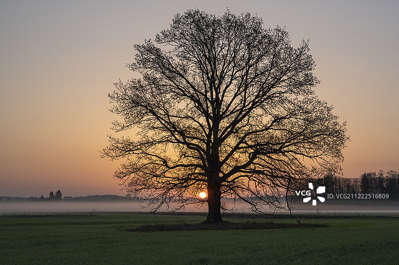早上好图片素材