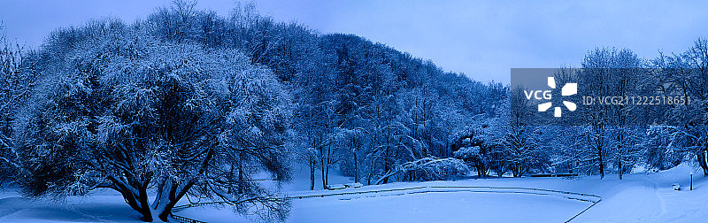俄罗斯莫斯科科洛缅斯科耶庄园雪后混交林图片素材
