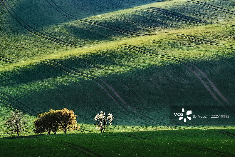 摩拉维亚田野图片素材