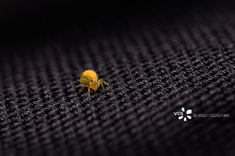 走出黑暗图片素材