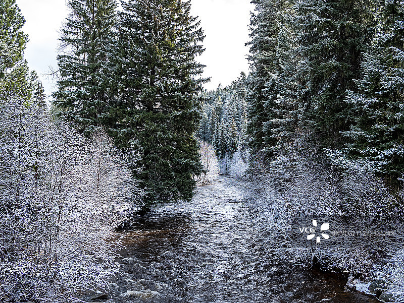 加拿大白雪皑皑的春日图片素材
