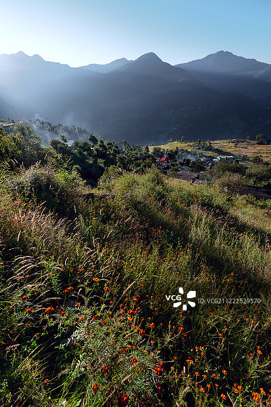 失物招领图片素材