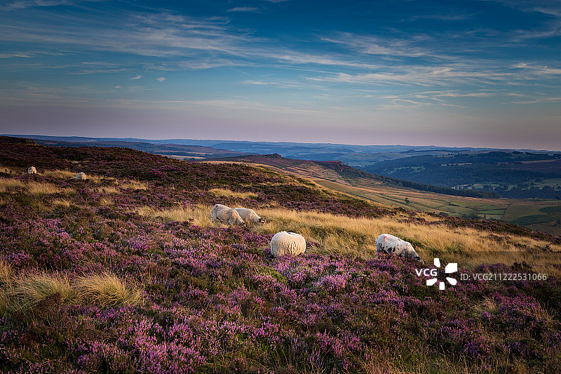 峰区国家公园图片素材