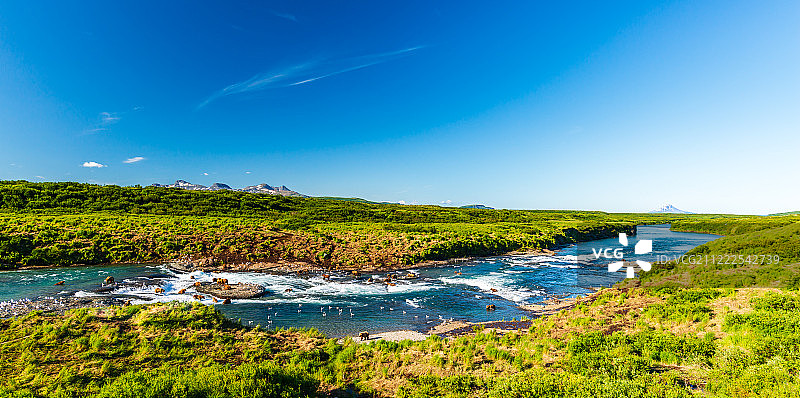 麦克尼尔河熊图片素材