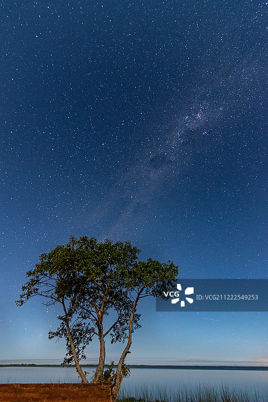 伊贝拉沼泽图片素材