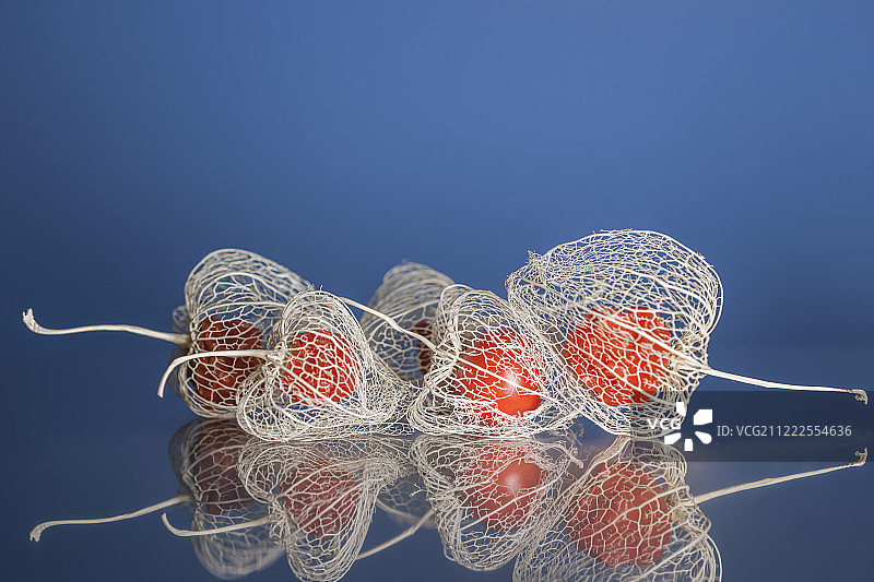 灯笼果会议图片素材