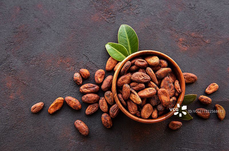 生可可豆图片素材