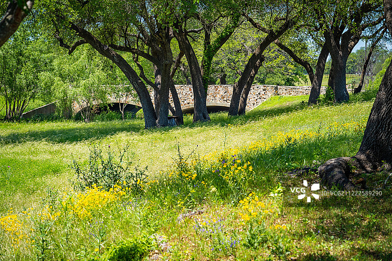 葡萄园图片素材