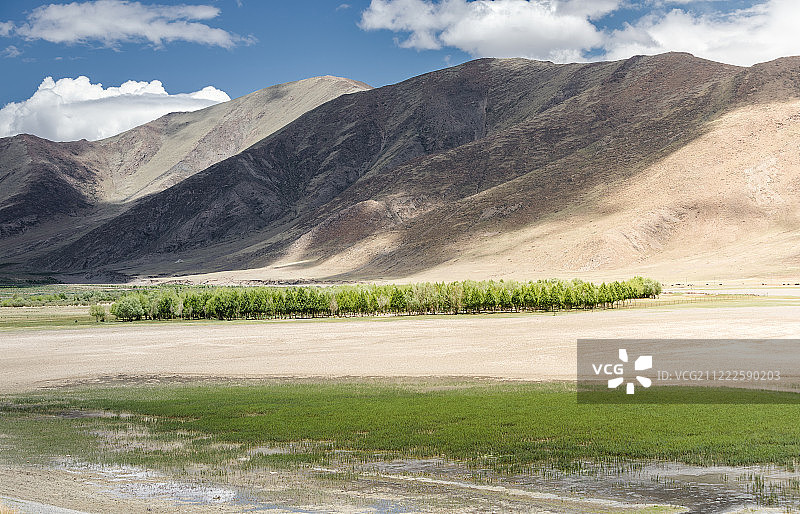 山前一排绿树图片素材