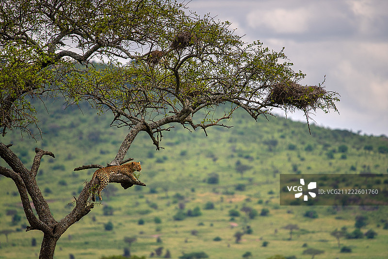 在边缘图片素材