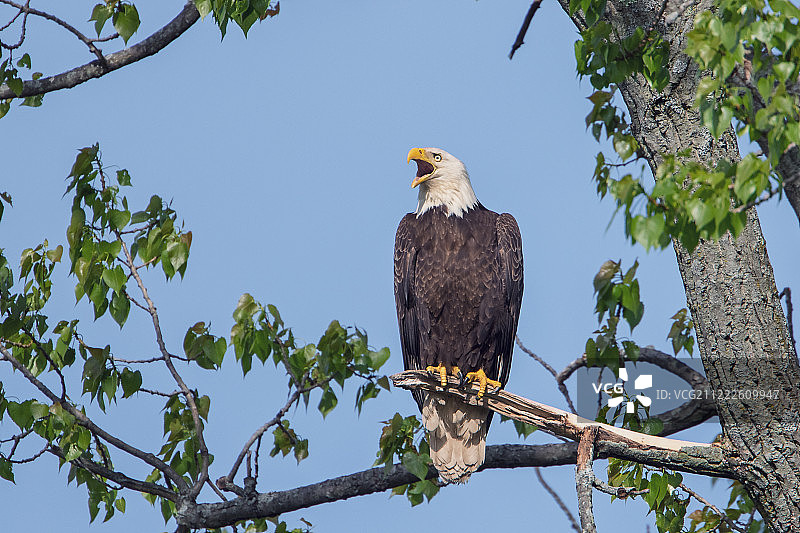 自豪的父母图片素材