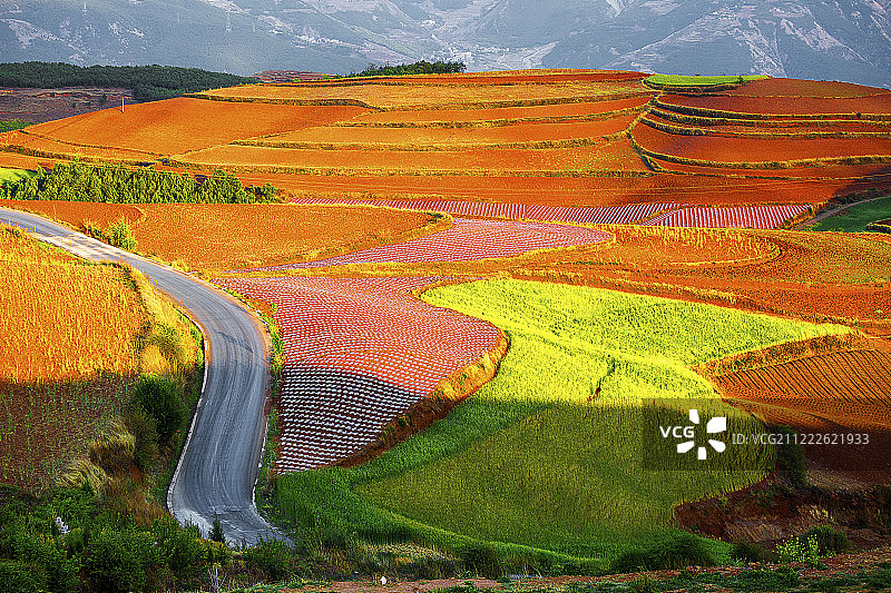 中国云南东川红土地图片素材