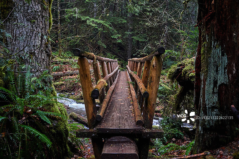 萨蒙河人行桥图片素材