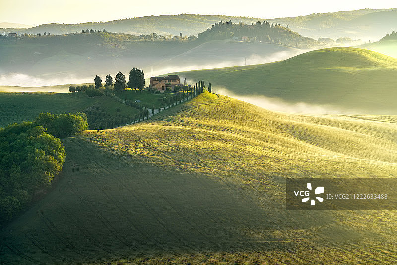 多雾的早晨图片素材