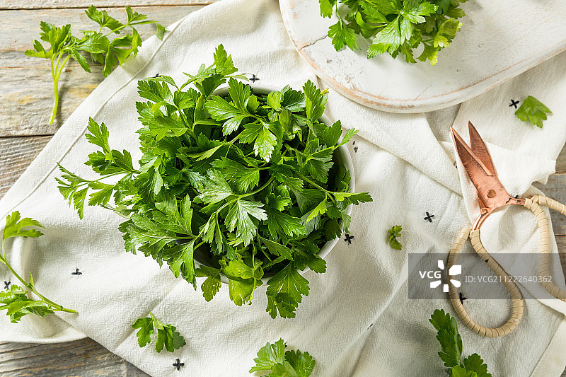 新鲜绿色有机意大利平叶欧芹图片素材