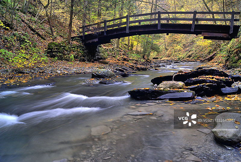 在菲尔莫的现场演出图片素材