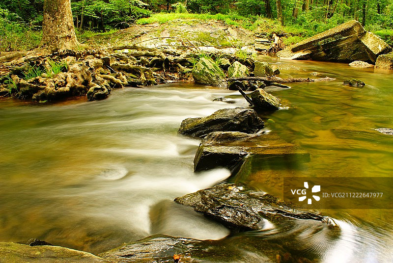 舒缓的布鲁克图片素材