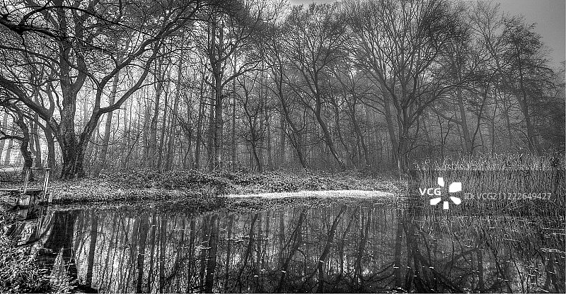 森林边缘的湖泊图片素材