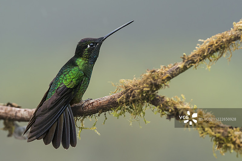 壮丽景色图片素材