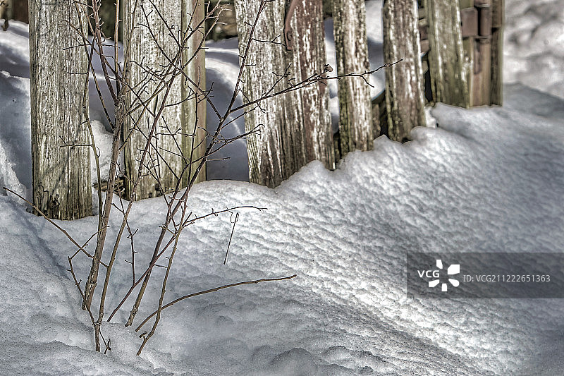 栅栏上的雪图片素材