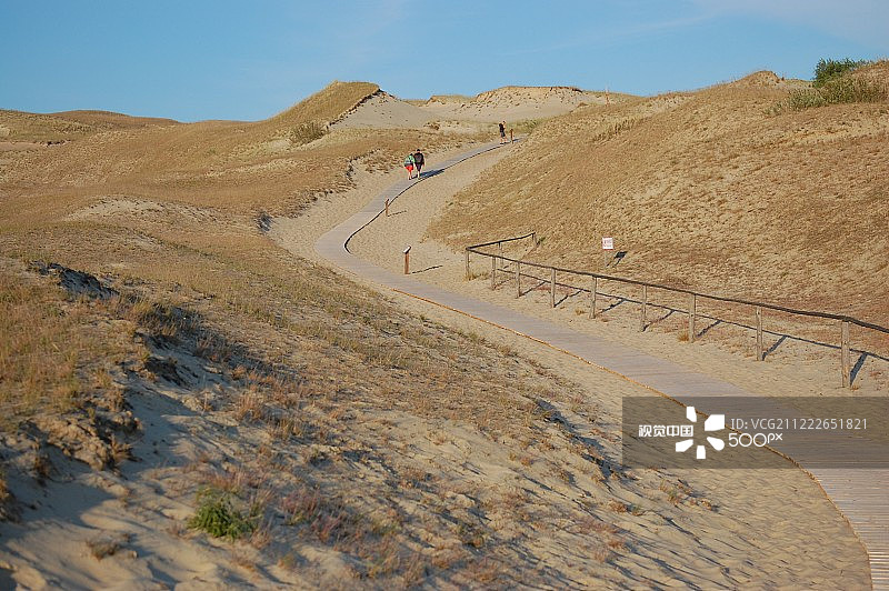 立陶宛内林加的死亡之丘沙丘图片素材