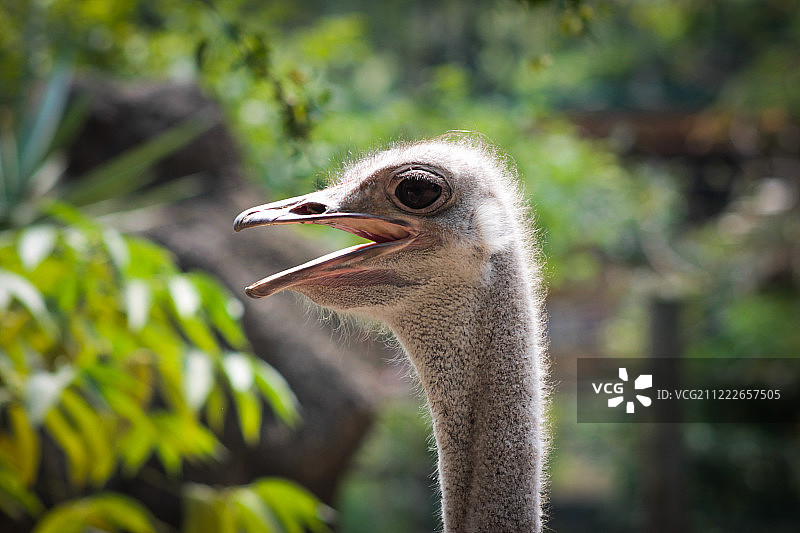 无标题的图片素材