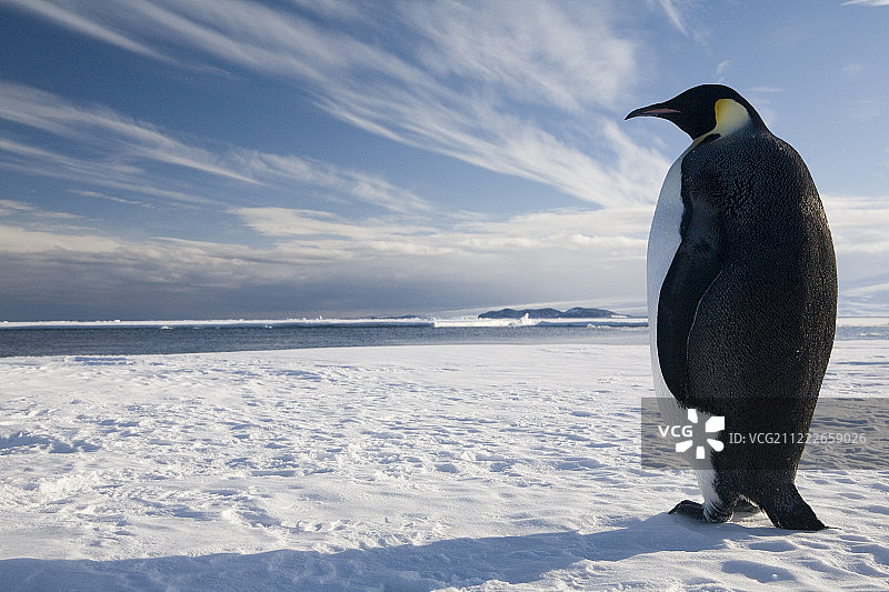 高个子男孩图片素材