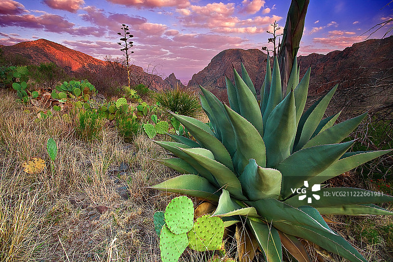得克萨斯州大弯国家公园奇索斯盆地日出图片素材