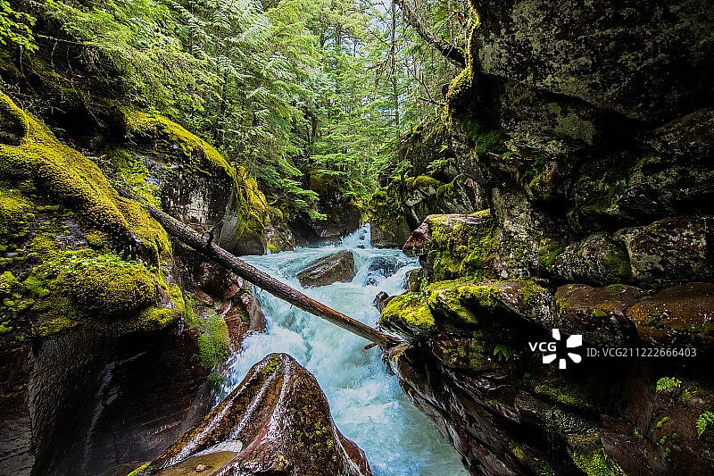 蓝色雪松瀑布图片素材