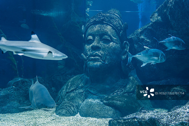 泰国水下佛像图片素材