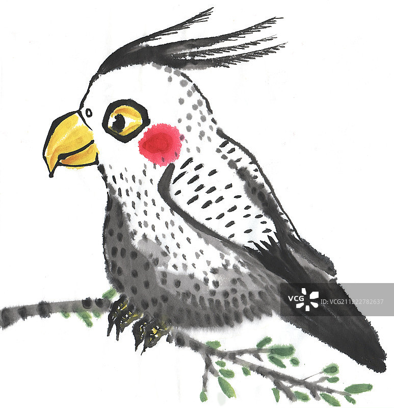 水墨画-站在树枝上的玄风鹦鹉图片素材