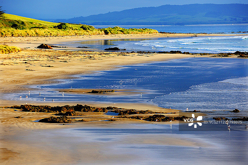 新西兰，奥塔哥春夏风光， Peninsula图片素材