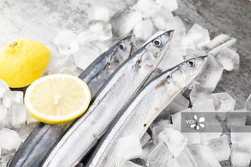 美味的海鲜秋刀鱼图片素材