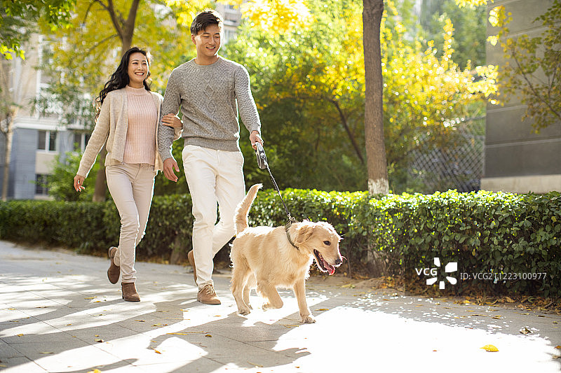 快乐的年轻情侣一起遛狗图片素材