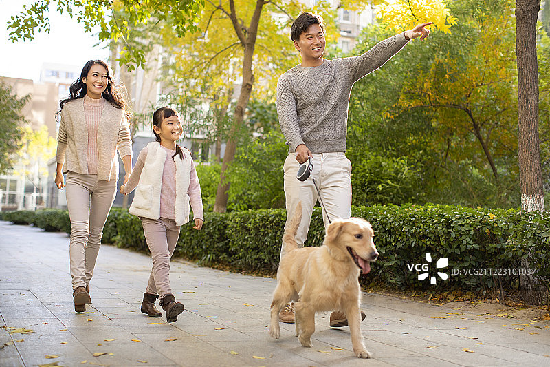 快乐的年轻家庭一起遛狗图片素材
