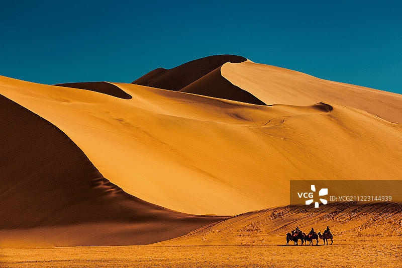 沙漠驼影图片素材