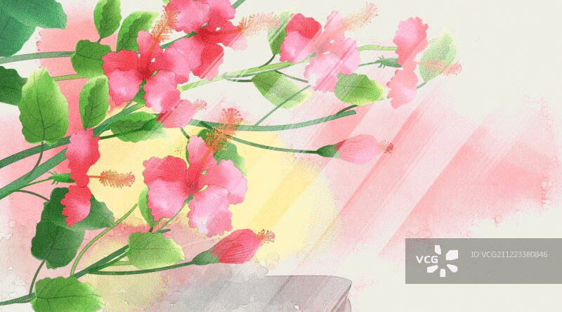 水彩风格植物花卉插画动图图片素材